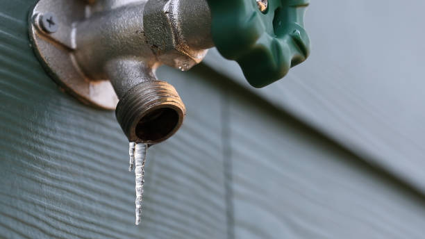 Best Affordable Plumber Near Me  in Lake Sarasota, FL